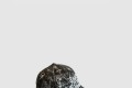 [LOUIS VUITTON-루이비통]베이스볼 캡 M65941