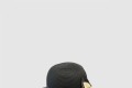 [CHANEL-샤넬]선캡 AA5373