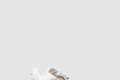 [LOUIS VUITTON-루이비통]런 55 스니커즈 1AC28C