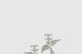 [CHANEL-샤넬]Pendant 귀걸이 ABF754