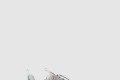 [LOUIS VUITTON-루이비통]LV 러쉬 스니커즈 1ACXN7