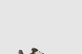 [LOUIS VUITTON-루이비통]LV 트레이너 스니커즈 1ACXB1