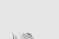 [LOUIS VUITTON-루이비통]LV 스케이트 스니커즈 1ABZ5V
