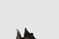 [LOUIS VUITTON-루이비통]LV 아치라이트 스니커즈 1A43L9