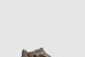 [BALENCIAGA-발렌시아가]러너 스니커즈 677402