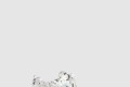 [BALENCIAGA-발렌시아가]러너 스니커즈 772774