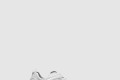 [BALENCIAGA-발렌시아가]서킷 스니커즈 793945