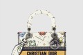 [DIOR-디올]레이디백 디라이트 미듐 M0565