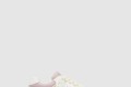 [VALENTINO-발렌티노]램스킨 스니커즈