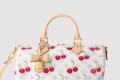 [LOUIS VUITTON-루이비통]LV x TM 스피디 소프트 반둘리에 30 M14238