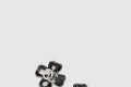 [CHANEL-샤넬]Stud 귀걸이 ABE707
