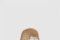 [CHANEL-샤넬]선캡 AA5683