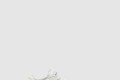 [MCQUEEN-알렉산더맥퀸]스케이트 데크 캔버스 슈즈 777241